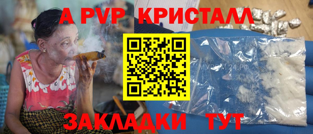 A PVP СК Касимов