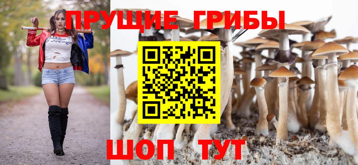 Псилоцибиновые грибы GOLDEN TEACHER Касимов