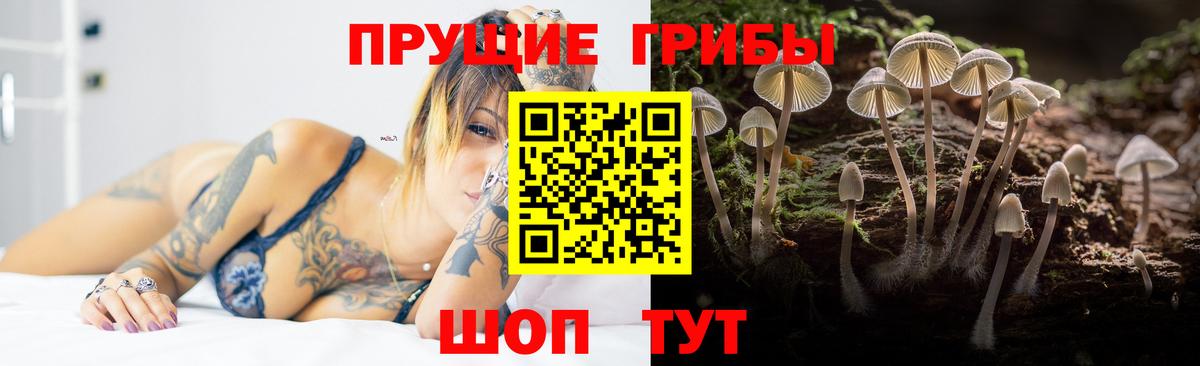 Галлюциногенные грибы MAGIC MUSHROOMS  Вход с VPN  Касимов 